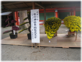 10a-31-12.jpg