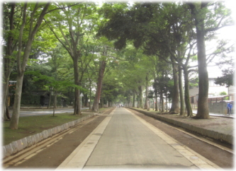 10e-15-30.jpg