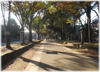 11c-23-29.jpg