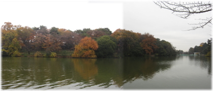11c-30-13.jpg