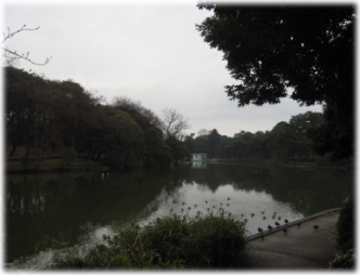 2d-16-15.jpg