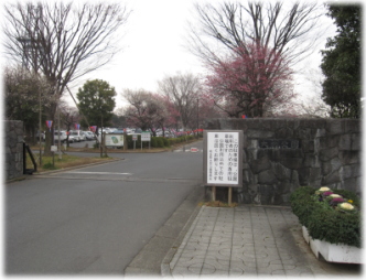 2d-22-7.jpg
