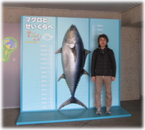 2d-26-5.jpg