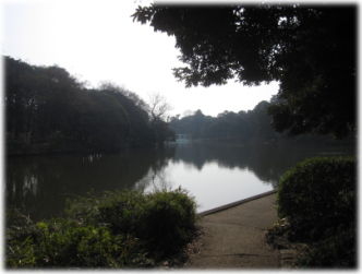 3d-13-11.jpg