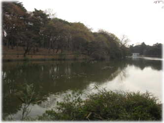 3d-23-10.jpg
