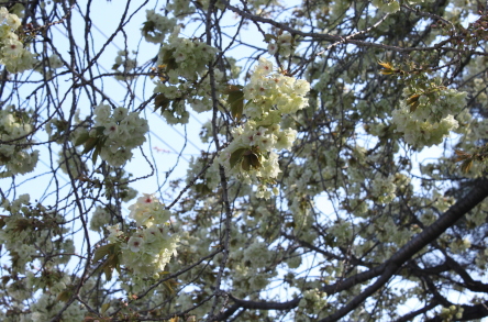 4e-18-13.jpg