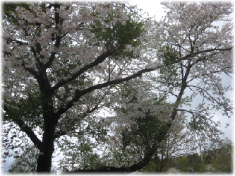 5e-14-10.jpg