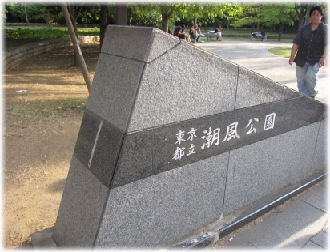 8b-21-18.jpg