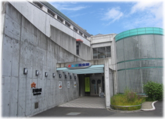 8e-11-14.jpg