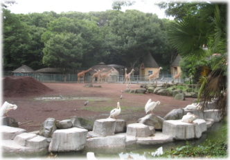 8e-11-18.jpg
