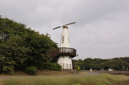 10e-17-22.jpg