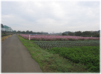 10e-24-11.jpg