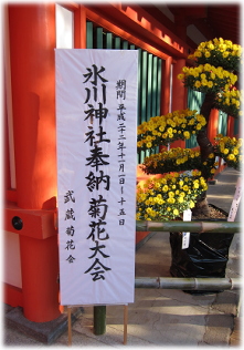 11f-6-13.jpg