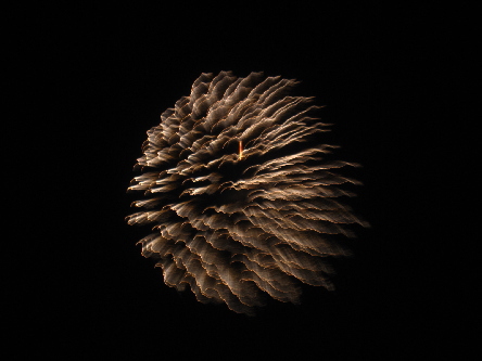 8e-15-12.jpg