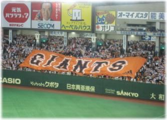 8e-21-11.jpg