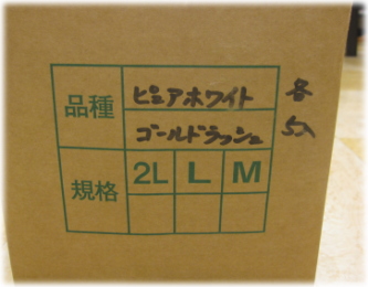 8e-22-10.jpg