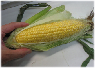 8e-22-11.jpg