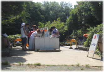 8e-27-16.jpg