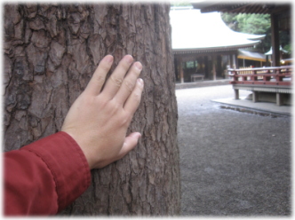 9e-25-8.jpg